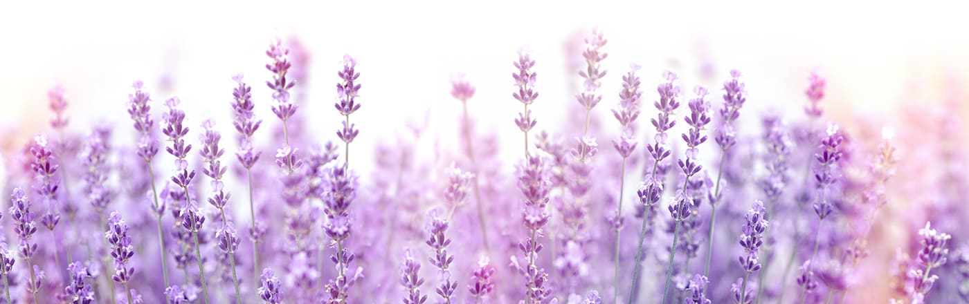 司法書士・行政書士(登録予定) 中村直人